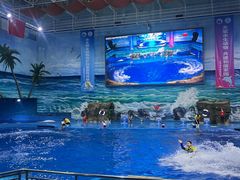 -多彩贵州城极地海洋世界