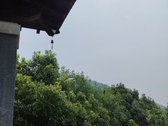 -南京老山国家森林公园