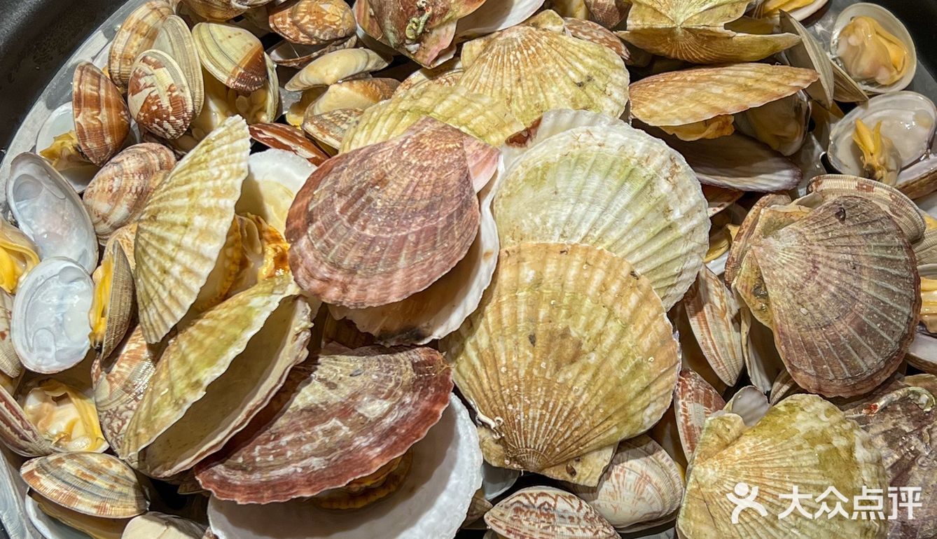 大连📍开海季…吃大连海鲜的快乐你造吗⁉️