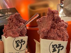 -野人先生现做冰淇淋(北京王府井东方新天地店)