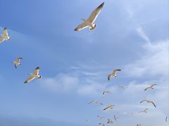 -那香海钻石沙滩浴场