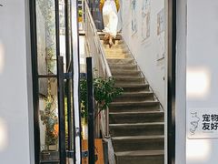 -沏点Trattoria意大利餐厅(新街口店)