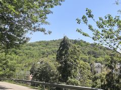 -汤山公园