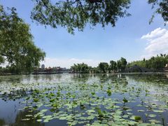 -长春市南湖公园