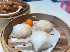 -点都德·毕德寮