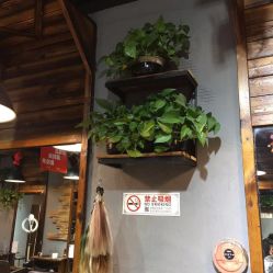 -MX 造型