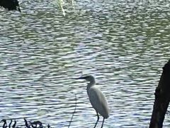 -白塘生态植物园