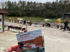 -上海海湾国家森林公园