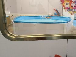 -海豹航航水育游泳中心(芳园里店)