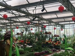 -南宫五洲植物乐园