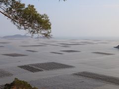 -小皓村
