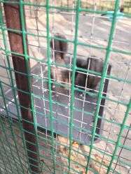 -萌宠亲子动物乐园(槐房万达店)