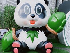 -都江堰中华大熊猫苑