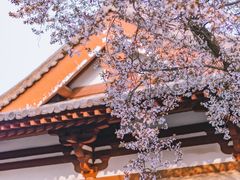 -西安青龙寺遗址景区