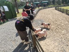 -前小桔亲子创意农场·草莓采摘·露营烧烤