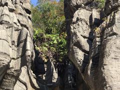 -梭布垭石林景区