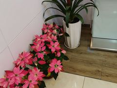 -中国工商银行(上海市桃林路支行)