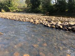 -九曲溪竹筏码头