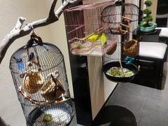 -悦融·京鲁菜·露台花园(安定门店)
