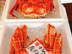 -札幌二条市场 大矶(本店)
