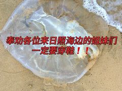 -日照灯塔风景区