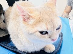 -芭比堂动物医院·CT·微创中心(新顺分院)