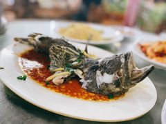 石斑鱼清蒸-四川小胡子海鲜(丁村万人海鲜广场店)