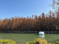 -青山湖景区