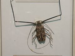 -大连自然博物馆