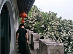 -蒋氏故居