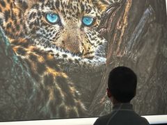 -罗红摄影艺术馆