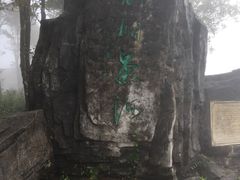 -梧桐山风景名胜区