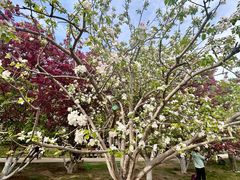 -元大都城垣遗址公园