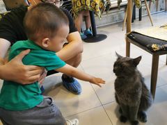 -平行世界·猫咖(首经贸店)