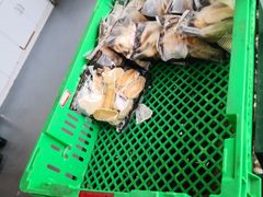 -来噻布布 Lets BUBU