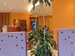 -美泰·Mangothai·清迈云街(天空之城店)