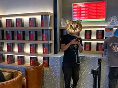 -LELECHA乐乐茶(上海五角场万达广场店)