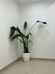 -澳尔颜选医疗美容