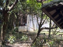 -吉隆坡雀鸟公园