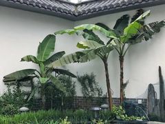 -少林功夫文化中心·独门独院