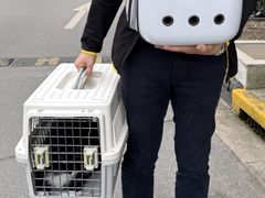 -良伴无忧宠物医院(泰欣嘉园店)