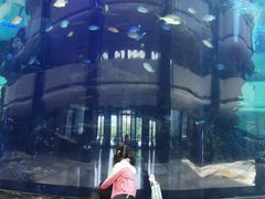 -OPEN開全日自助餐厅·牛肉火锅·海鲜(佛山希尔顿酒店)