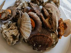 -宾朋海鲜饭庄(兴海路店)