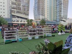 -大族广场Mall&More