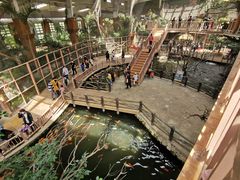 -南宫五洲植物乐园