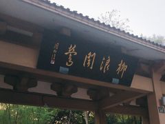 -柳浪闻莺公园
