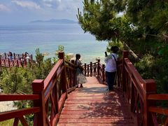 -养马岛旅游度假区
