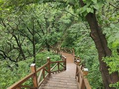 -大岭沟猕猴桃谷风景区