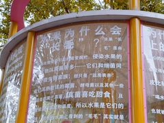-华山儿童公园