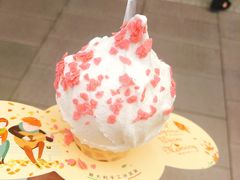 -野人先生现做冰淇淋(西安赛格店)